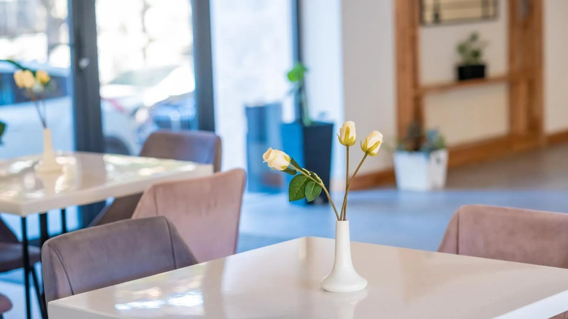 Garden Boutique Hotel Τυφλίδα